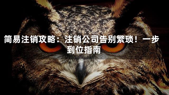 简易注销攻略：注销公司告别繁琐！一步到位指南