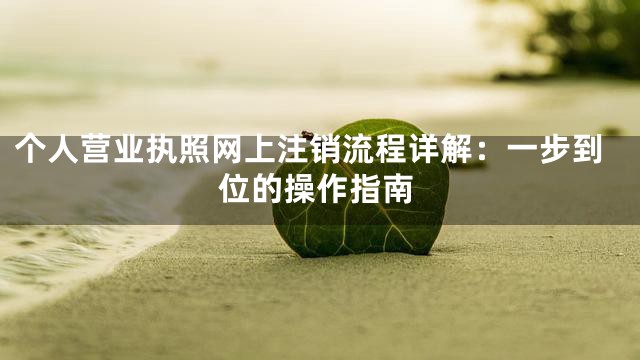个人营业执照网上注销流程详解：一步到位的操作指南