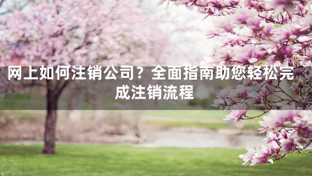 网上如何注销公司？全面指南助您轻松完成注销流程