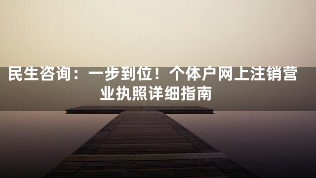 民生咨询：一步到位！个体户网上注销营业执照详细指南