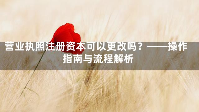 营业执照注册资本可以更改吗？——操作指南与流程解析