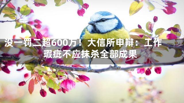 没一罚二超600万！大信所申辩：工作瑕疵不应抹杀全部成果