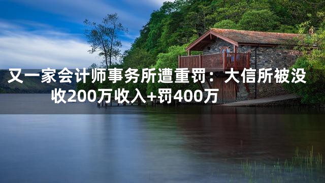又一家会计师事务所遭重罚：大信所被没收200万收入+罚400万