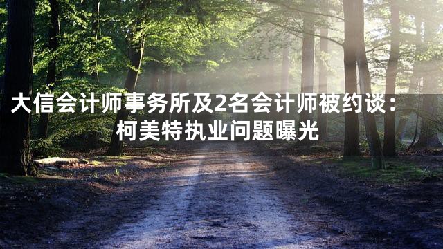 大信会计师事务所及2名会计师被约谈：柯美特执业问题曝光
