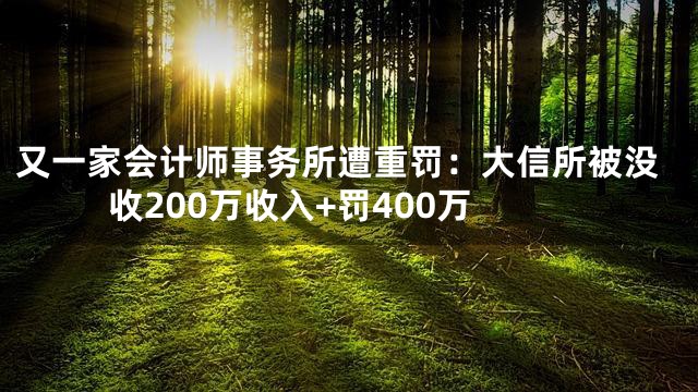 又一家会计师事务所遭重罚：大信所被没收200万收入+罚400万