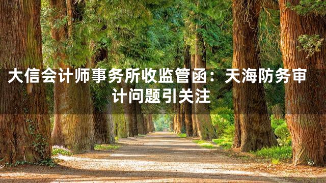 大信会计师事务所收监管函：天海防务审计问题引关注