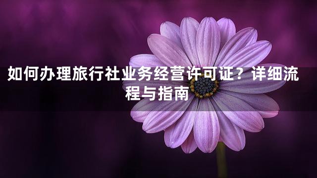 如何办理旅行社业务经营许可证？详细流程与指南