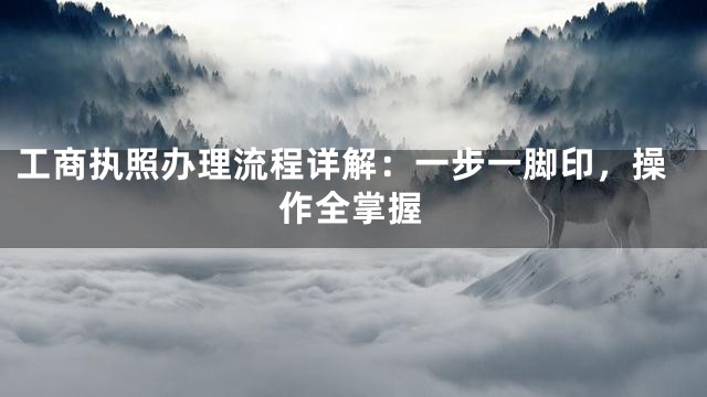 工商执照办理流程详解：一步一脚印，操作全掌握