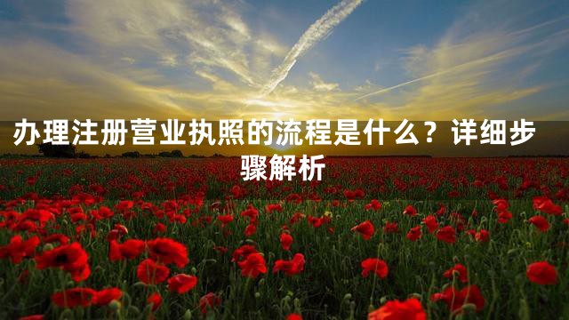 办理注册营业执照的流程是什么？详细步骤解析