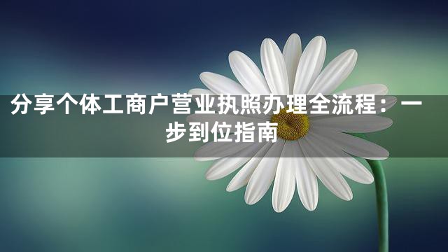 分享个体工商户营业执照办理全流程：一步到位指南