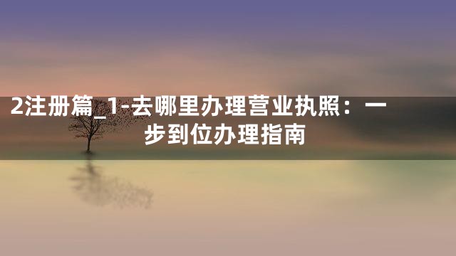 2注册篇_1-去哪里办理营业执照：一步到位办理指南