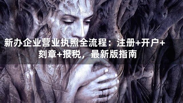 新办企业营业执照全流程：注册+开户+刻章+报税，最新版指南