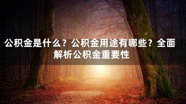 公积金是什么？公积金用途有哪些？全面解析公积金重要性