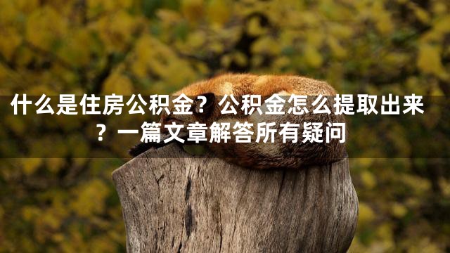 什么是住房公积金？公积金怎么提取出来？一篇文章解答所有疑问