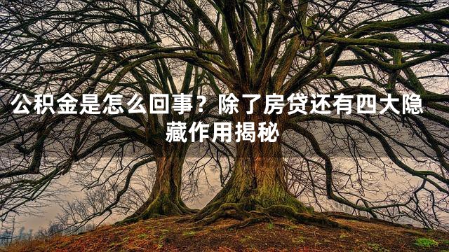 公积金是怎么回事？除了房贷还有四大隐藏作用揭秘