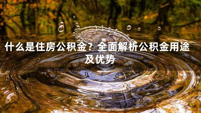 什么是住房公积金？全面解析公积金用途及优势