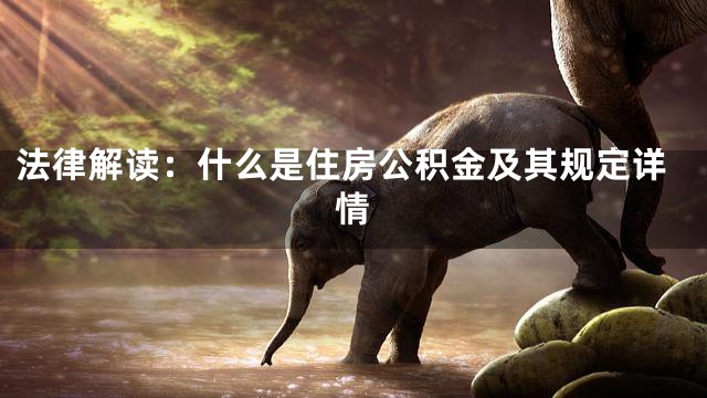 法律解读：什么是住房公积金及其规定详情