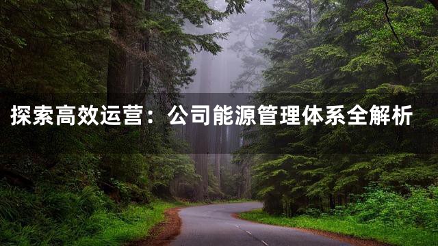 探索高效运营：公司能源管理体系全解析
