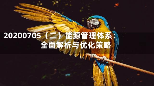 20200705（二）能源管理体系：全面解析与优化策略