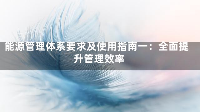 能源管理体系要求及使用指南一：全面提升管理效率