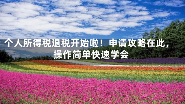 个人所得税退税开始啦！申请攻略在此，操作简单快速学会