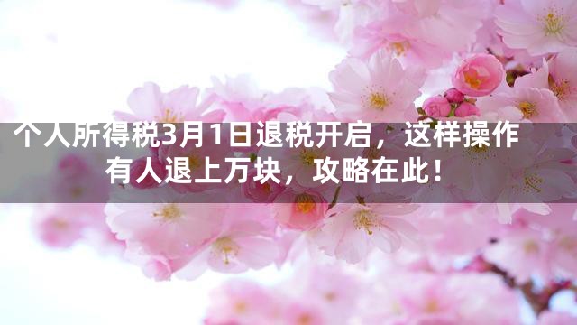 个人所得税3月1日退税开启，这样操作有人退上万块，攻略在此！
