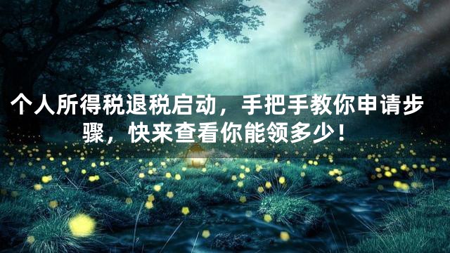 个人所得税退税启动，手把手教你申请步骤，快来查看你能领多少！