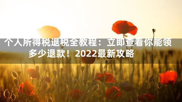 个人所得税退税全教程：立即查看你能领多少退款！2022最新攻略