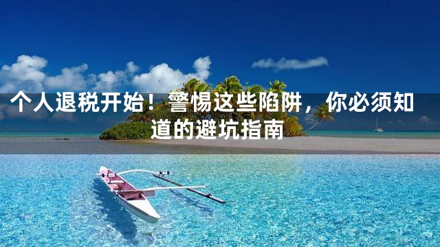 个人退税开始！警惕这些陷阱，你必须知道的避坑指南