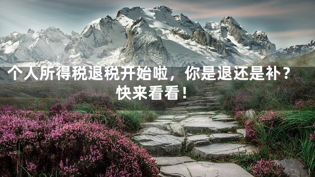 个人所得税退税开始啦，你是退还是补？快来看看！