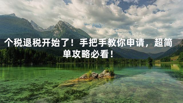 个税退税开始了！手把手教你申请，超简单攻略必看！