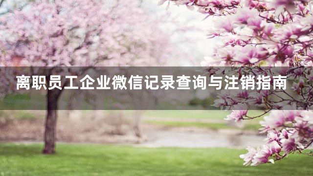 离职员工企业微信记录查询与注销指南