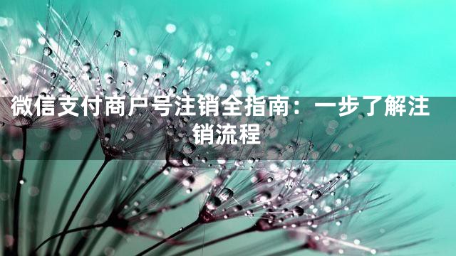 微信支付商户号注销全指南：一步了解注销流程
