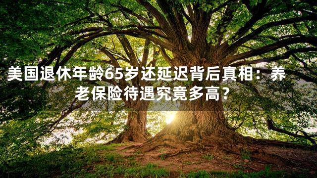 美国退休年龄65岁还延迟背后真相：养老保险待遇究竟多高？