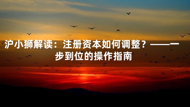 沪小狮解读：注册资本如何调整？——一步到位的操作指南