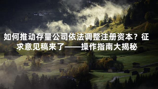 如何推动存量公司依法调整注册资本？征求意见稿来了——操作指南大揭秘