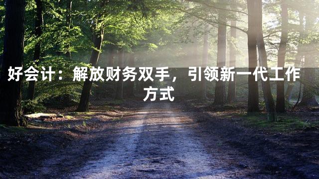 好会计：解放财务双手，引领新一代工作方式