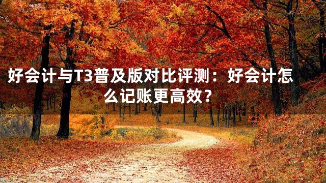 好会计与T3普及版对比评测：好会计怎么记账更高效？