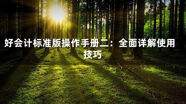 好会计标准版操作手册二：全面详解使用技巧