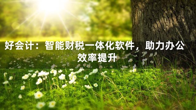 好会计：智能财税一体化软件，助力办公效率提升