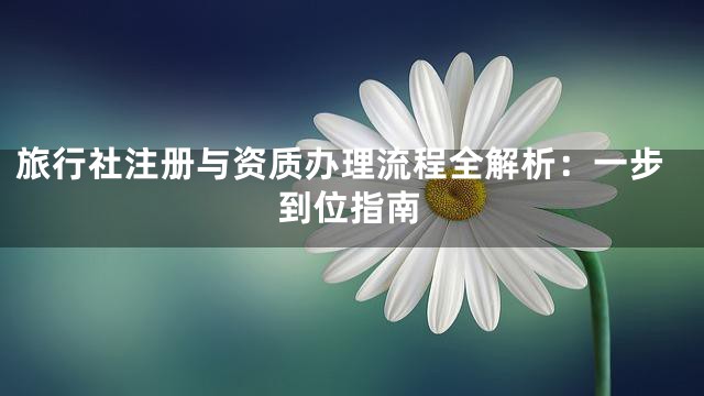旅行社注册与资质办理流程全解析：一步到位指南