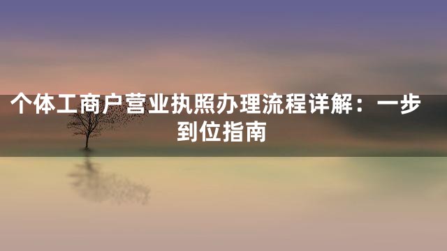 个体工商户营业执照办理流程详解：一步到位指南