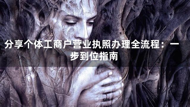 分享个体工商户营业执照办理全流程：一步到位指南