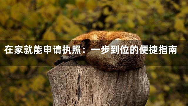 在家就能申请执照：一步到位的便捷指南