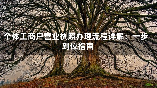 个体工商户营业执照办理流程详解：一步到位指南