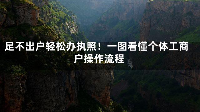 足不出户轻松办执照！一图看懂个体工商户操作流程