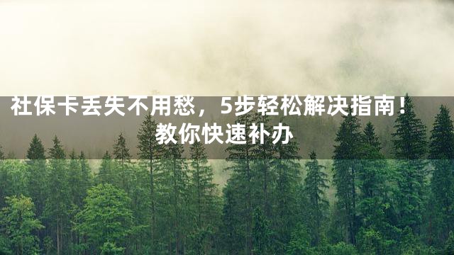 社保卡丢失不用愁，5步轻松解决指南！教你快速补办