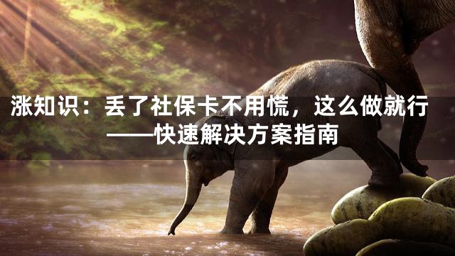 涨知识：丢了社保卡不用慌，这么做就行——快速解决方案指南