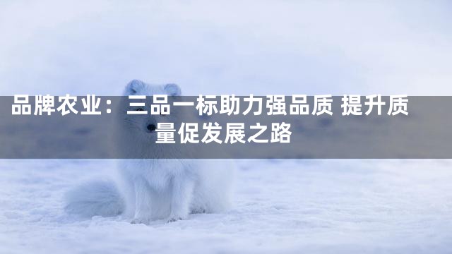 品牌农业：三品一标助力强品质 提升质量促发展之路
