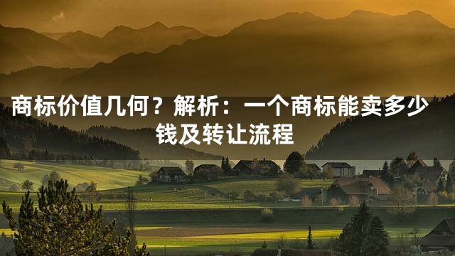 商标价值几何？解析：一个商标能卖多少钱及转让流程